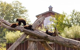 Parc Animalier de Sainte-Croix